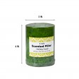 3 x 4 Inch Sld Holiday Fores Scented Pillar Candle(24pcs/Case)
