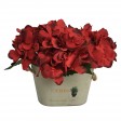 9 Inch Hydrangea with wooden Pot