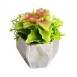 4.72 Inch H Green PE Succulent Plant