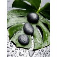 15.74 Inch H green/black canvas wall art