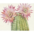 19.7 Inch H Pink,Green Printing  Canvas