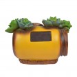 5.5 Inch H Polyresin Solar LED Light Succulent House