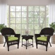 Espresso Wicker Chair And End Table Set With Sage Green Chair Cushion