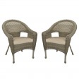 Set of 2 Grey Resin Wicker Clark Single Chair with 2 inch Cushion