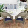 Set of 2 Grey Resin Wicker Clark Single Chair with 2 inch Cushion