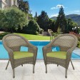Set of 2 Grey Resin Wicker Clark Single Chair with 2 inch Sage Green Cushion