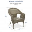 Set of 2 Grey Resin Wicker Clark Single Chair without Cushion