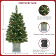 3FT H  FULL HARD NEEDLE ARTIFICIAL PORCH TREE WITH LIHGT