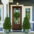 3FT H  FULL HARD NEEDLE ARTIFICIAL PORCH TREE WITH LIHGT