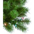 Aisling 6FT Sentiments Green Clear Tree