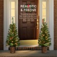 ADRIEL S/2 - 3.5FT  PRE-LIT  GREEN  POT TREE