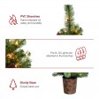 ADRIEL S/2 - 3.5FT  PRE-LIT  GREEN  POT TREE