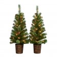 ADRIEL S/2 - 3.5FT  PRE-LIT  GREEN  POT TREE