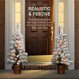 ARAKIEL  S/2-  3.5FT  PRE-LIT FLOCKED POT TREE