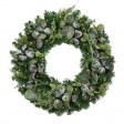30 inch Eucalyptus Christmas Wreath with Lights