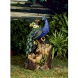 Peacock Fountain
