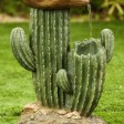 Cactus Fountain