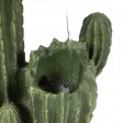 Cactus Fountain