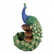 Peacock Fountain