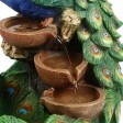 Peacock Fountain