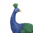 Peacock Fountain