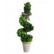 23 Inch Boxwood Rotate Topiary
