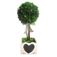 16.5 Inch H Boxwood topiary with heart wood box 