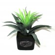 11 Inch Artifical Succulent Garden