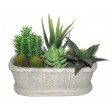 7.5 Inch Artifical Succulent Garden