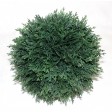 5.9 Inch Leaf Sphere