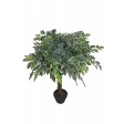 36 Inch White Banyan Tree