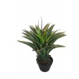 24 Inch Arrow Shape Tree