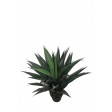 40 Inch Gladiolus Potted Tree