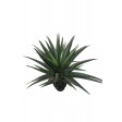 31 Inch Gladiolus Potted Tree