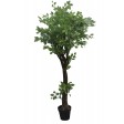 63 Inch Chinese Next Tree