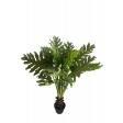 47 Inch Tropical Shell Leaf Tree