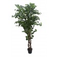70 Inch Ginkgo Tree