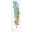 Feather Collection-II Oil Painting Wall Decor