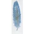 Feather Collection-III Oil Painting Wall Decor