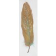 Feather Collection-IIII Oil Painting Wall Decor