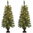 3.5 Feet. Pre-lite Artificial Christmas Tree With Plastic Pot Stand - Set of 2