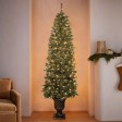 7 Feet. Pre-Lit Artificial Christmas Tree With Bronze MgO Urn Base
