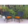 Set of 2 Windsor Black Resin Wicker Chair with Cushion