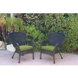 Set of 2 Windsor Black Resin Wicker Chair with Cushion
