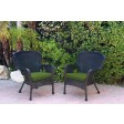 Set of 2 Windsor Black Resin Wicker Chair with Cushion